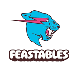 MRbeast Feastables Log